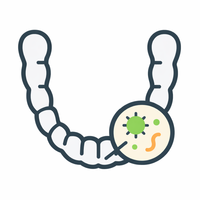 Bacterias en la dentadura